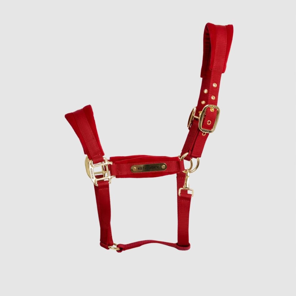 Uzda pro koně Kentucky Velvet podšitý velurem, červený Full