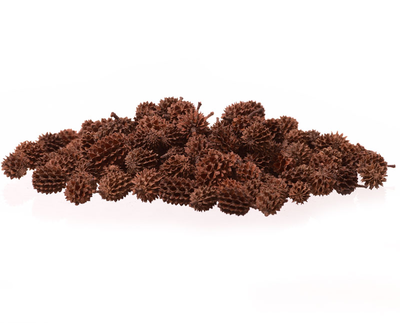 

Casurina natura 100gram