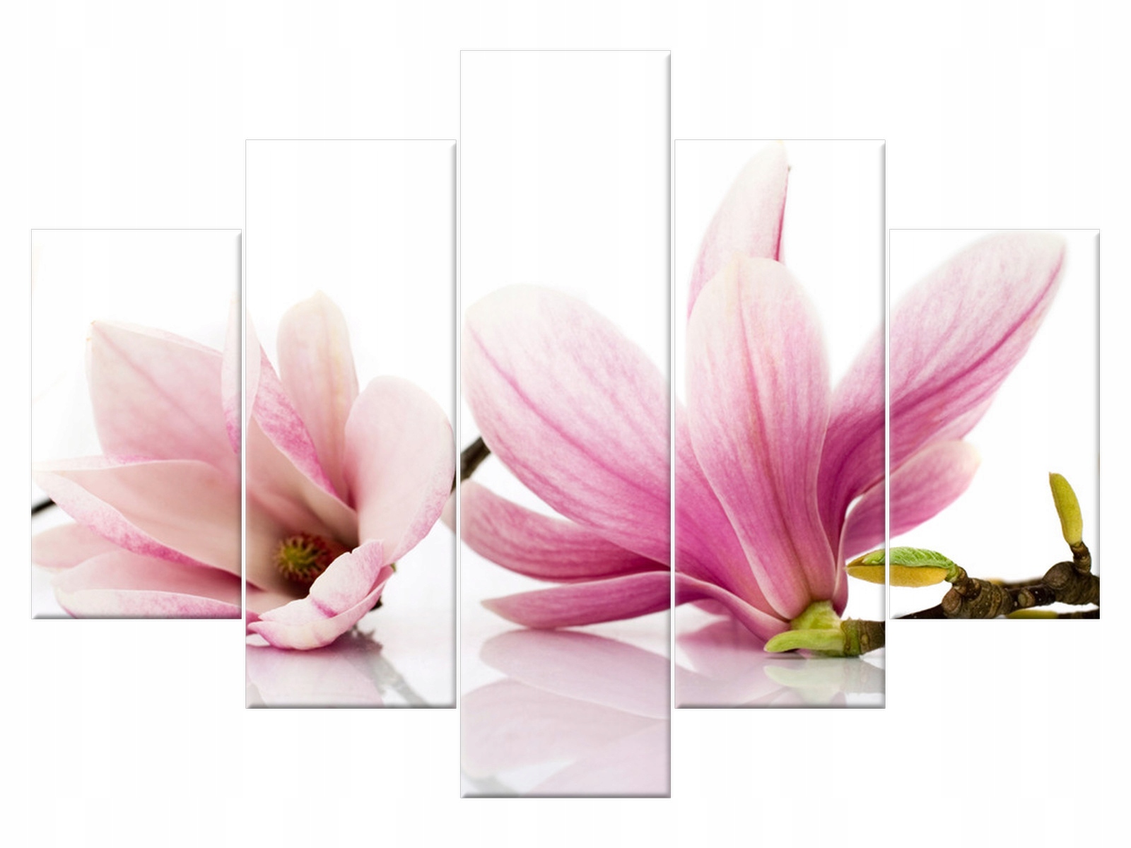 

Obraz Kwiaty Różowe magnolie 150x105 dbicie