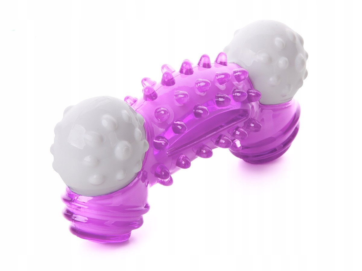 

Jk Animals Kość dental 12,5cm fioletowa