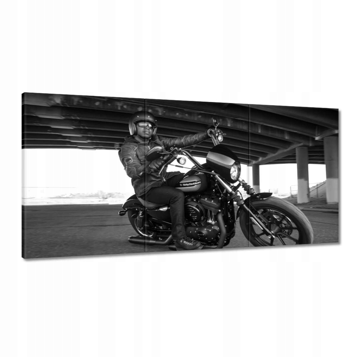 Obrazy 180x90 Harley Davidson Motocykel