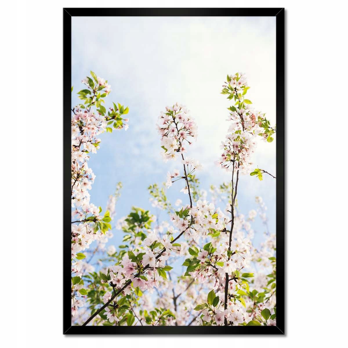 Plakáty v rámu 40x60 Květiny Květiny