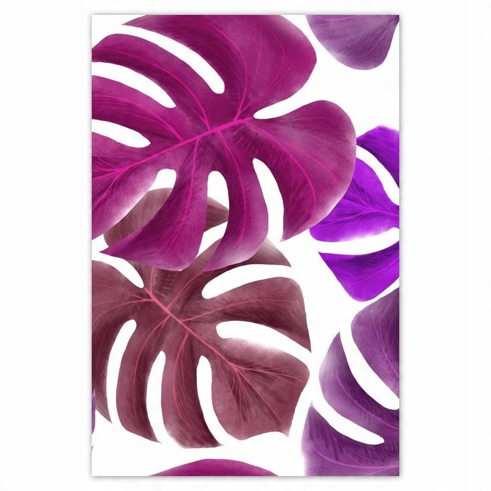 

Plakat 62x93 Monstera Liście Fiolet