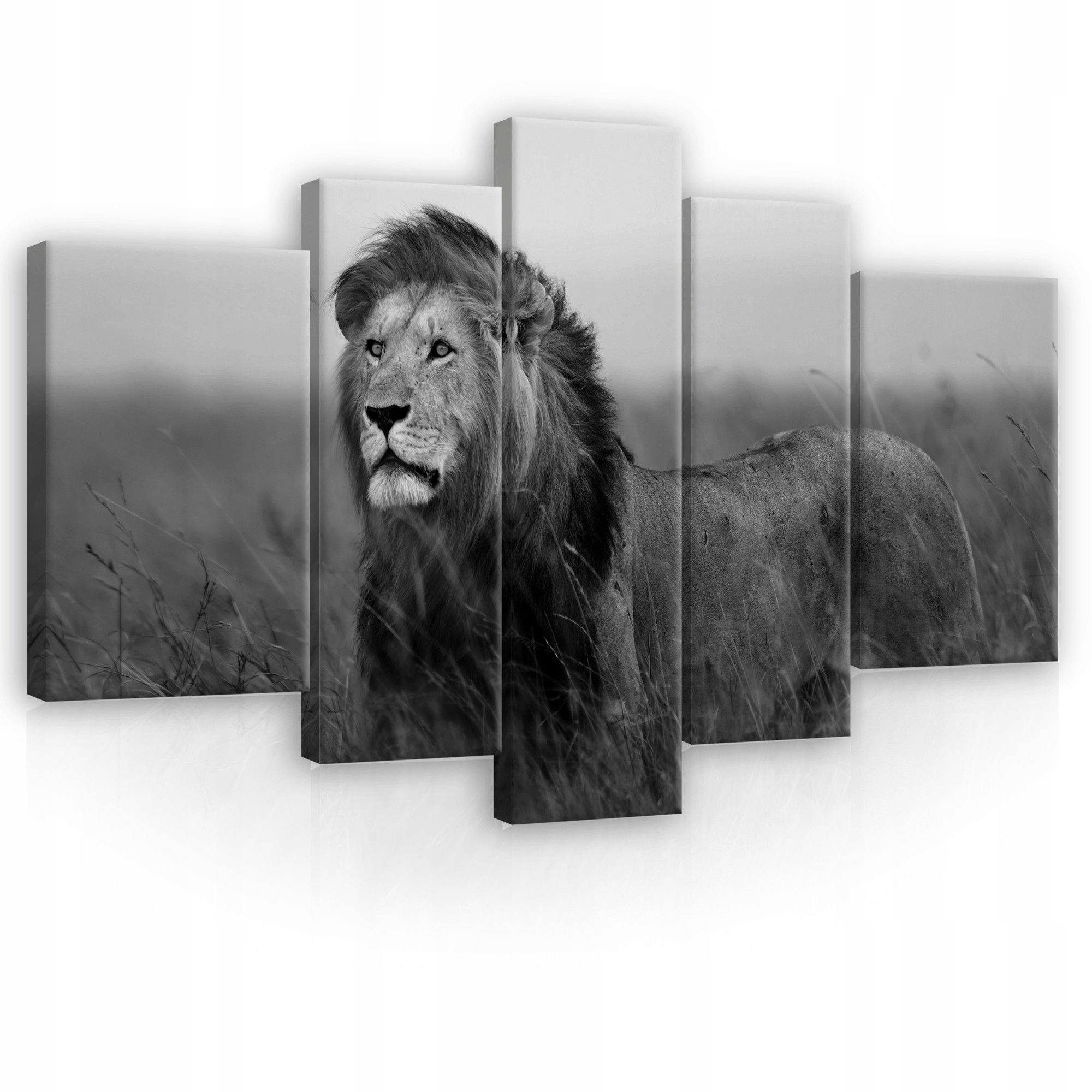 Obraz 170x100 Sila leva kráľ zvierat divoká príroda savana sila pokoj