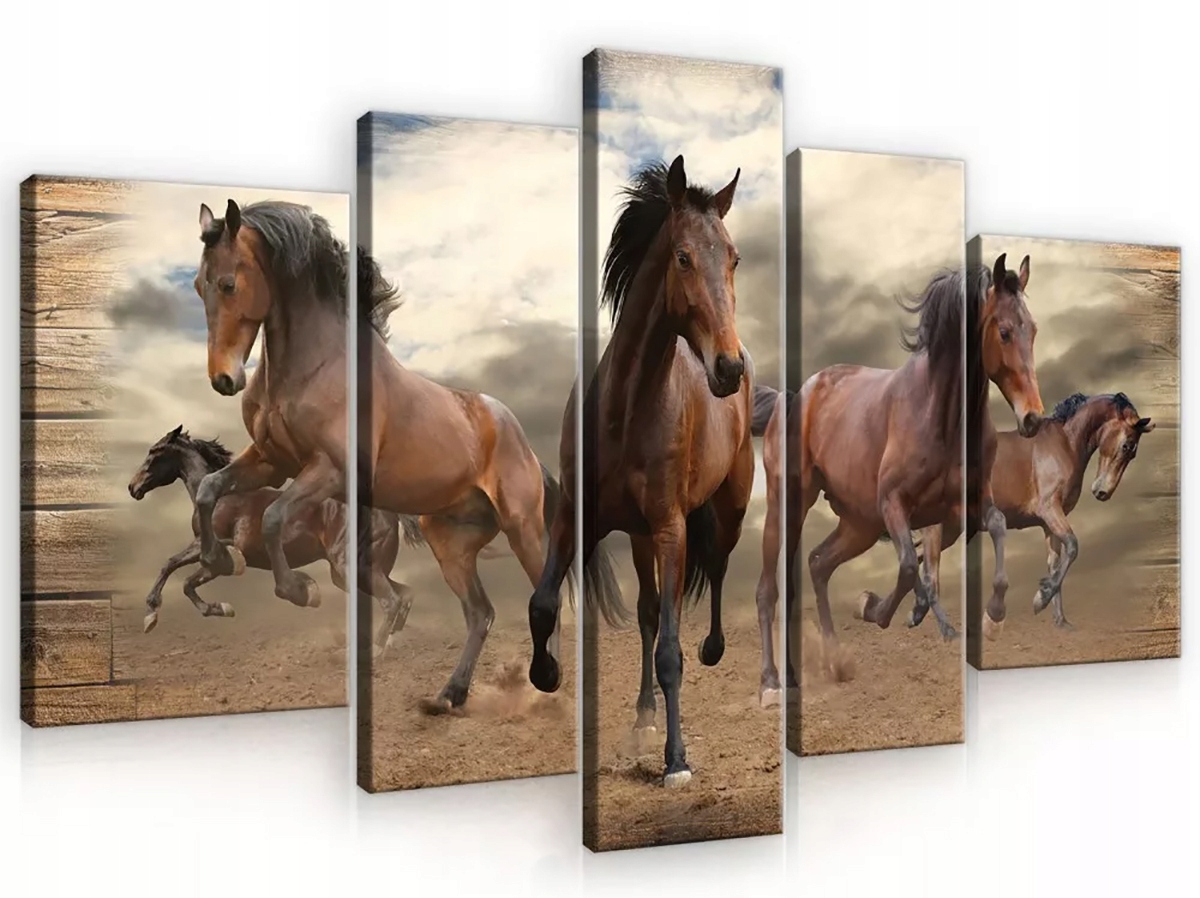 Obraz Na Plátně Canvas 170x100 Koně Galop Deska