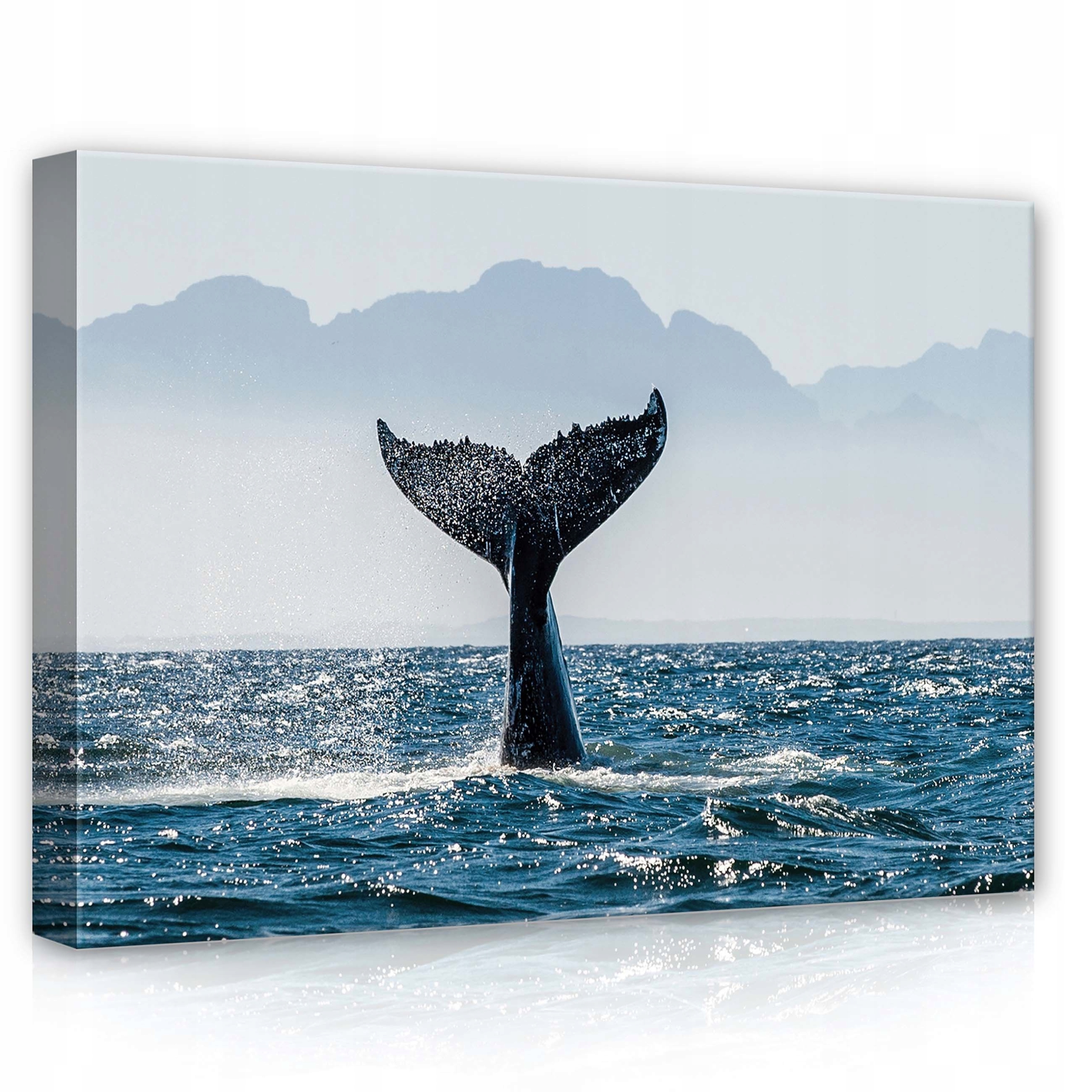 Obraz 70x50 Velryba oceán moře vánek vlny příroda klid prostor