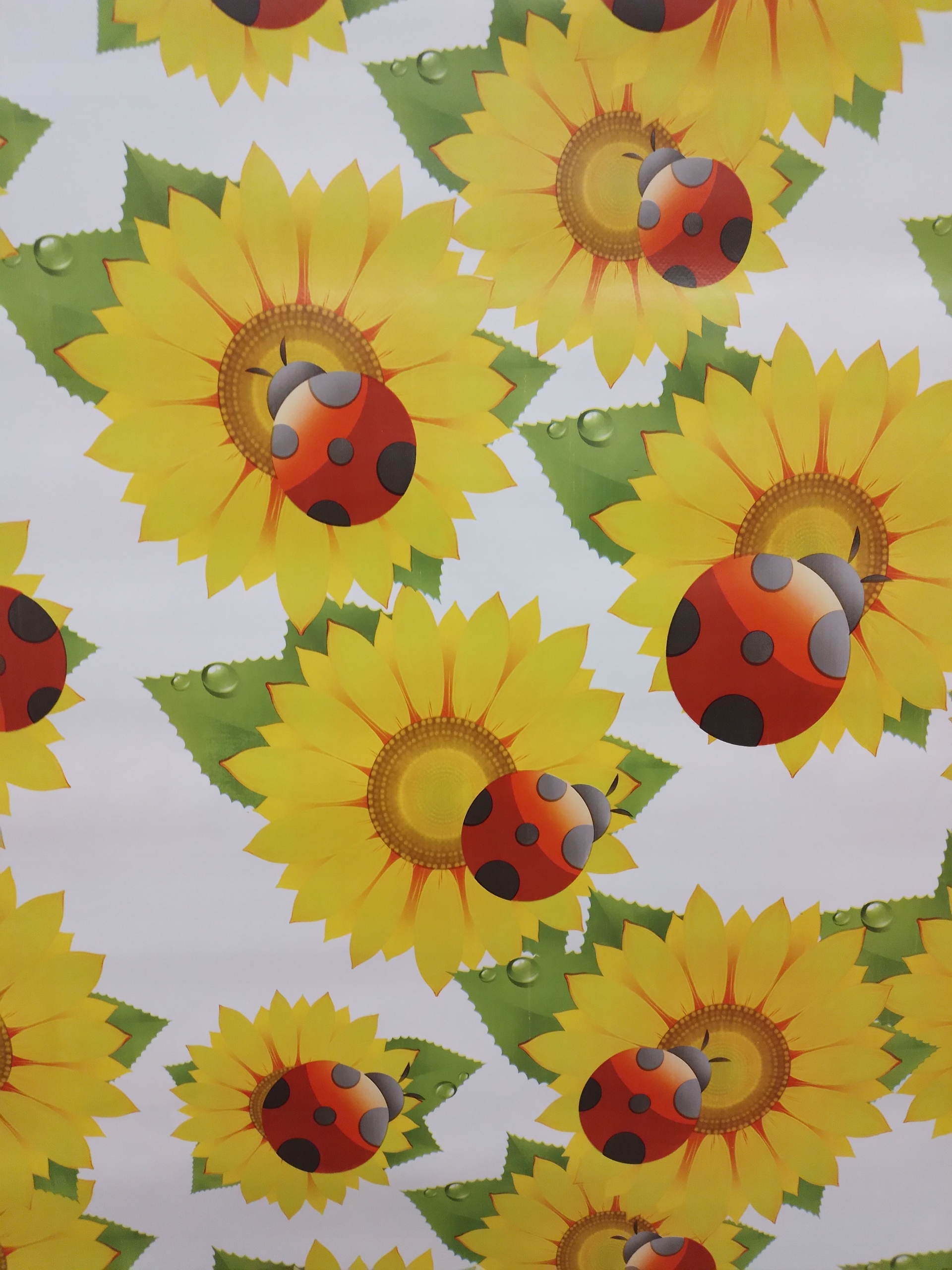 

Cerata obrus na wymiar Słoneczniki Biedronki