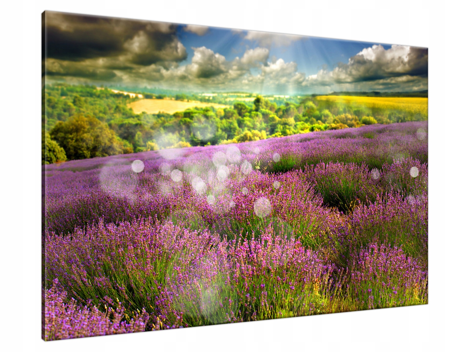 

Obraz Słoneczny krajobraz 120x80 canvas Gratisy