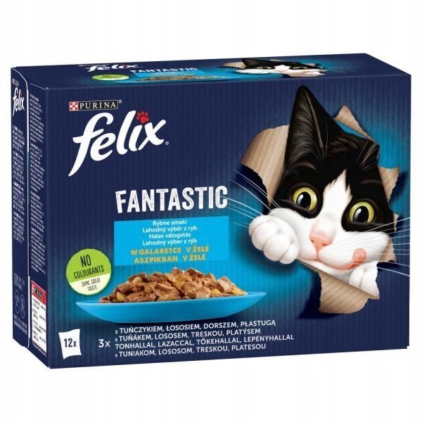 Mokra Karma Dla Kotów Felix Fantastic MIX Rybne Smaki w Galarecie x2 EAN (GTIN) 7613039743041