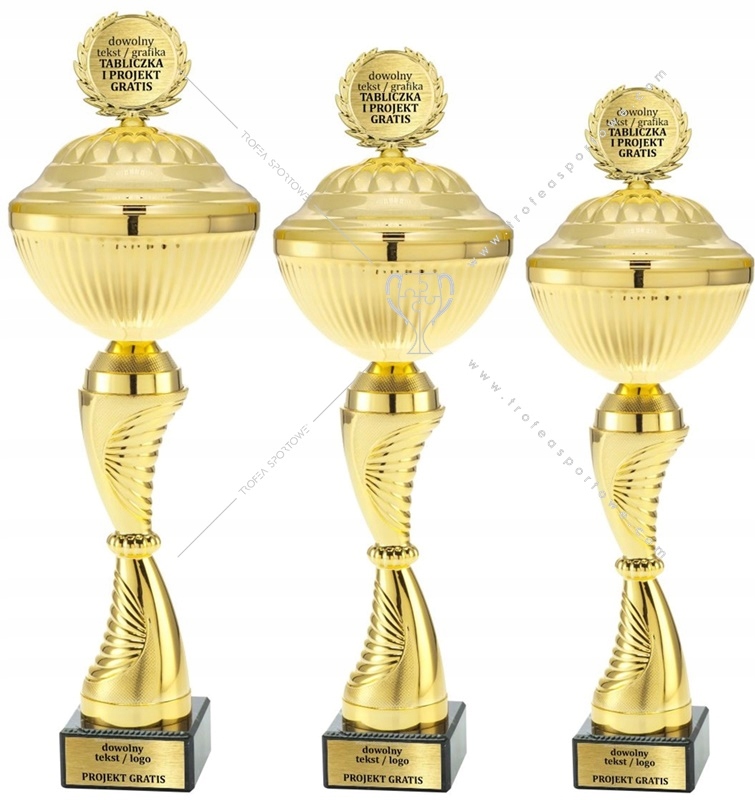 z-oty-metalowy-puchar-z-przykrywk-36-cm-tabliczki-inna-marka
