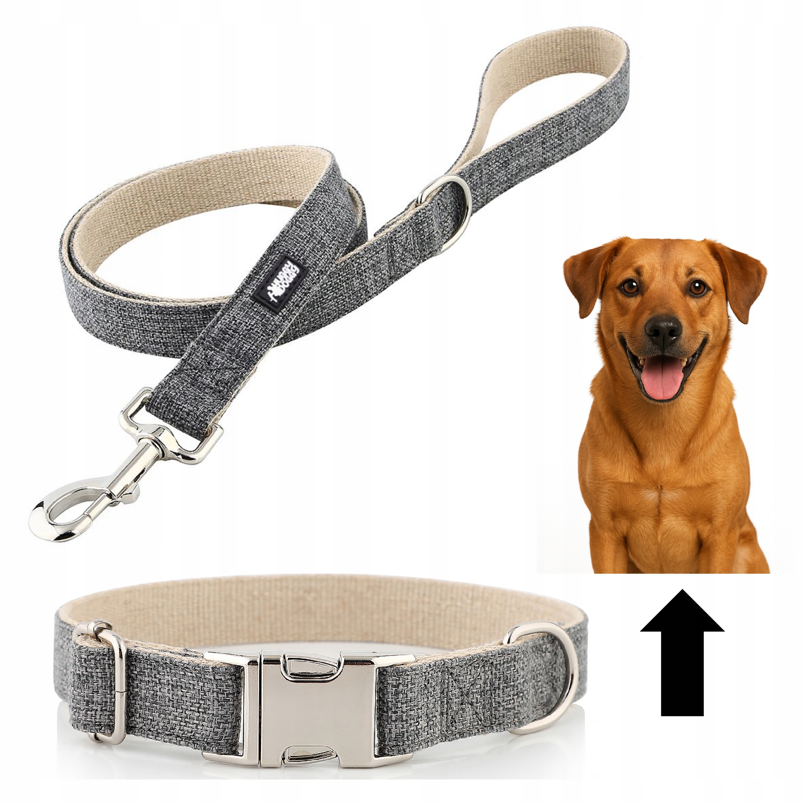 Levně Obojek a vodítko pro velkého psa, silný komplet, sada Huggy Doggy Šedá L