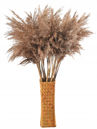 

Suszona Trawa Boho Naturalna 30SZT Puszysta 80CM