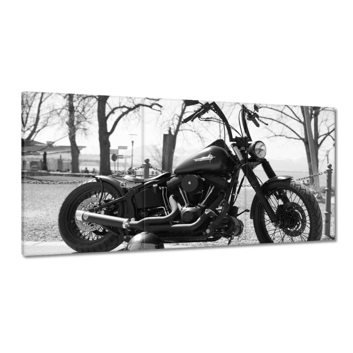 Obrazy 180x90 Harley Davidson motocykel
