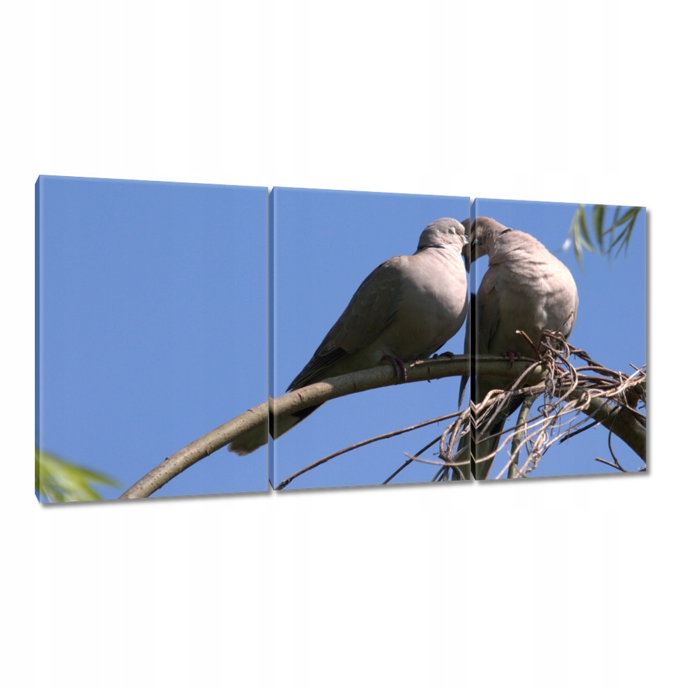 

Obrazy 120x60 Miłość Uczucie Związek