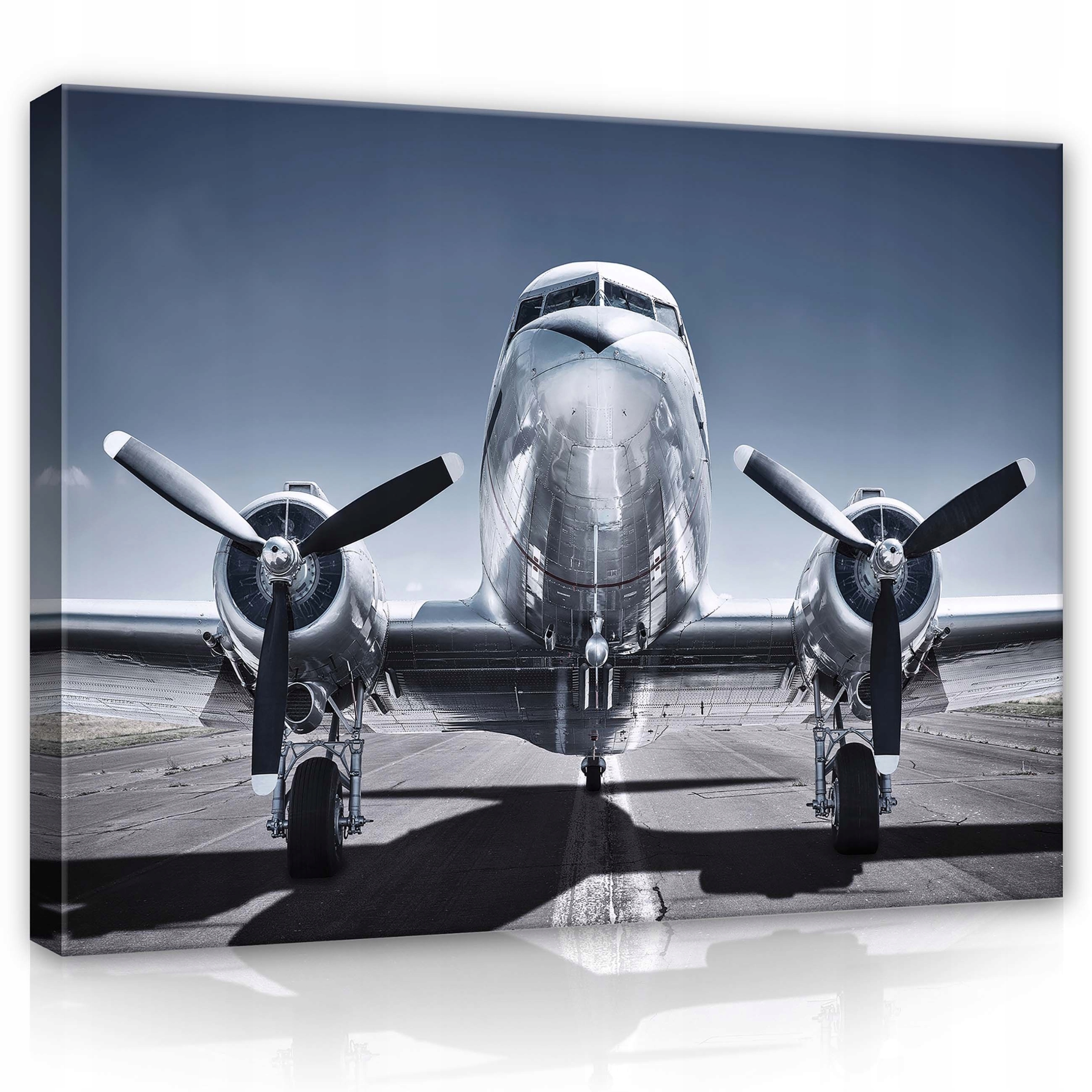 Obraz 100x75 Douglas DC-3 letadlo letectví nebe realismus retro klasika