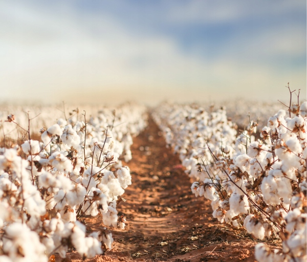 ŁOWCA POTWORÓW + IMIĘ WĘDKARSKA KOSZULKA PREZENT t-shirt święta wędkarz Rękaw krótki rękaw