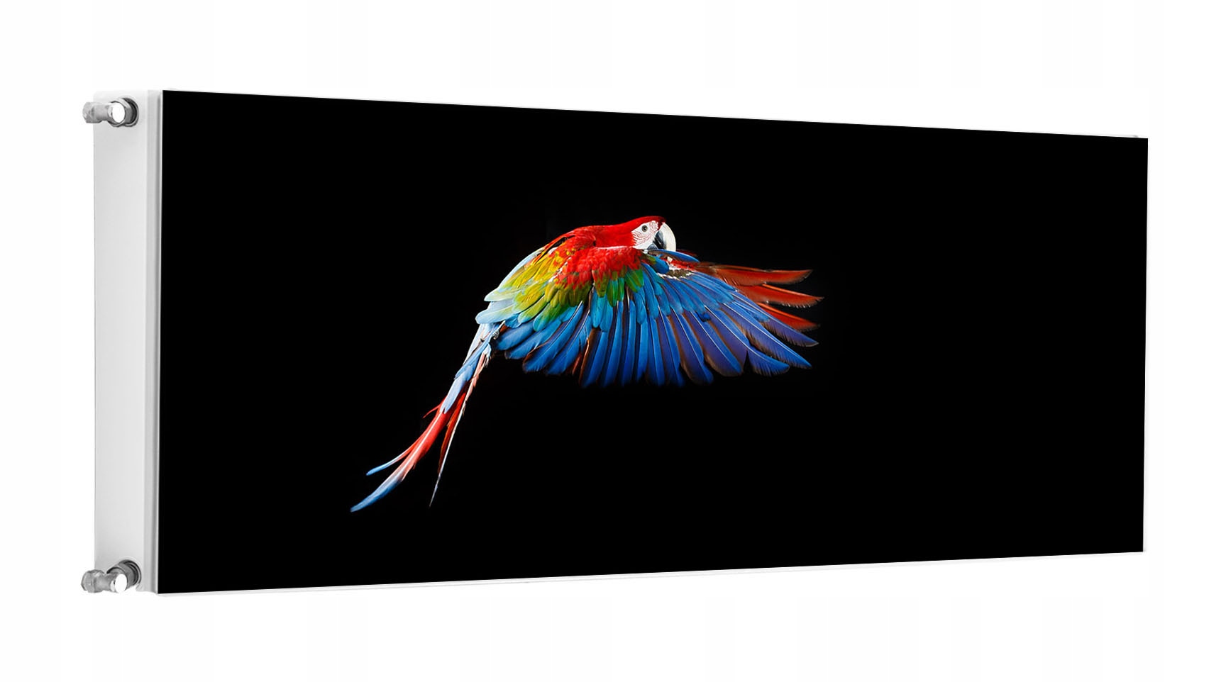 Magnet Magnetická Podložka Na Radiátor 140x60 Papoušek Fototapeta