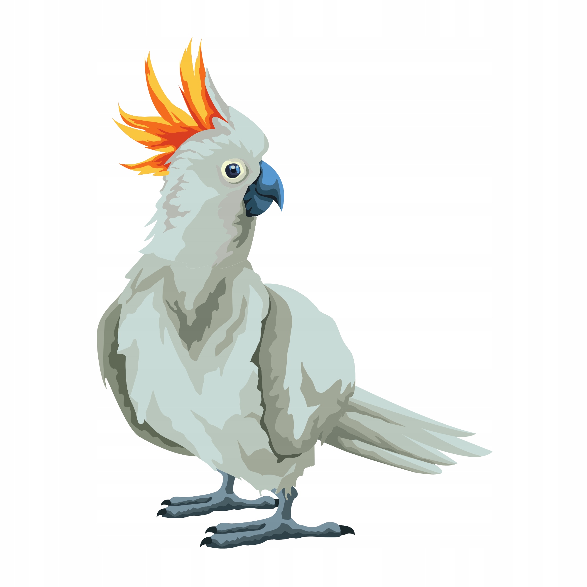 

Naprasowanka Papuga Naklejka Na Odzież 6