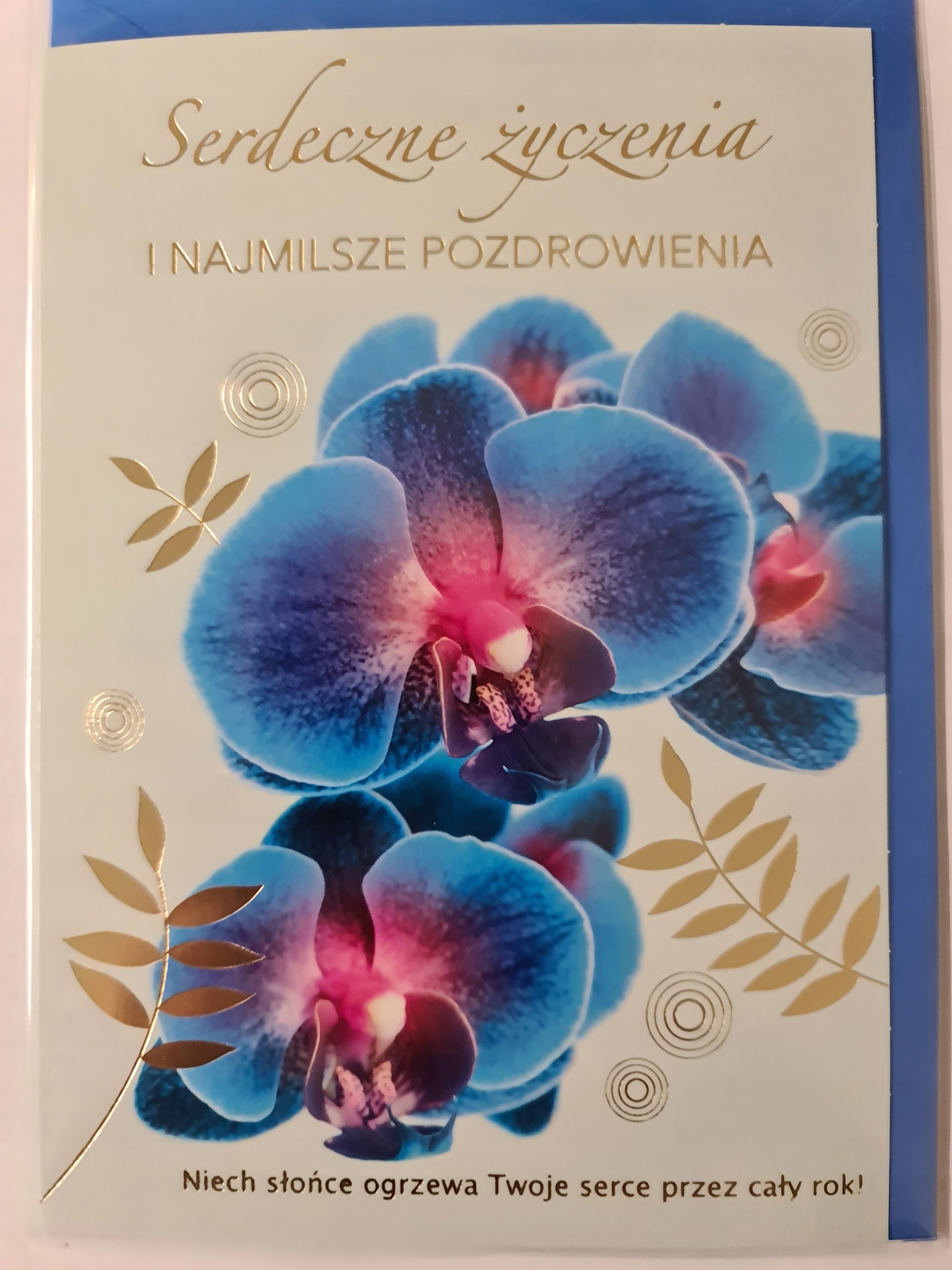 

Kartki urodzinowe kartka urodzinowa karnet urodzi