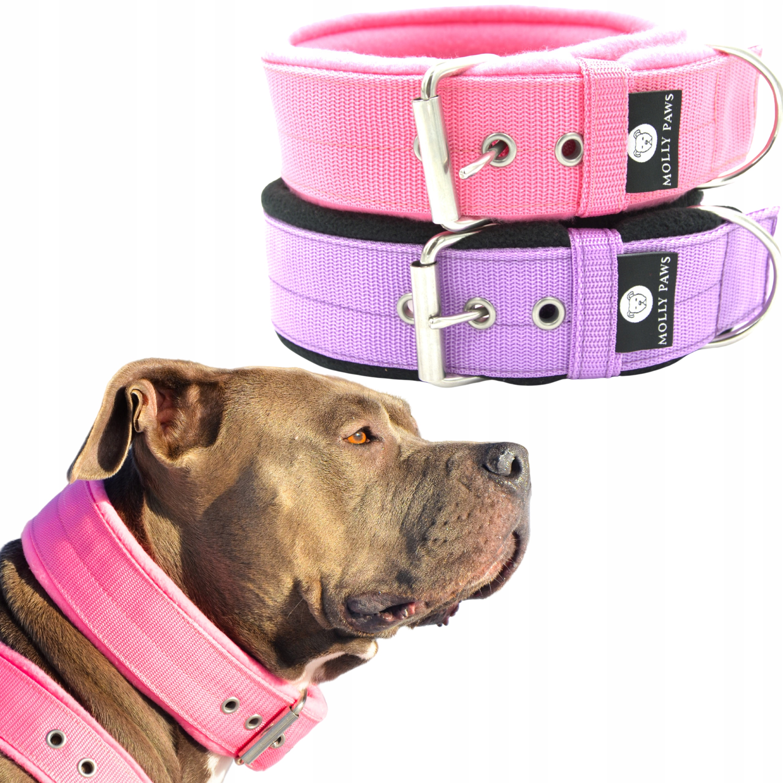 Levně Obojek Pro Velkého Psa Všechny barvy Velikost39 Cm-46 cm tolerance +/- 1 cm