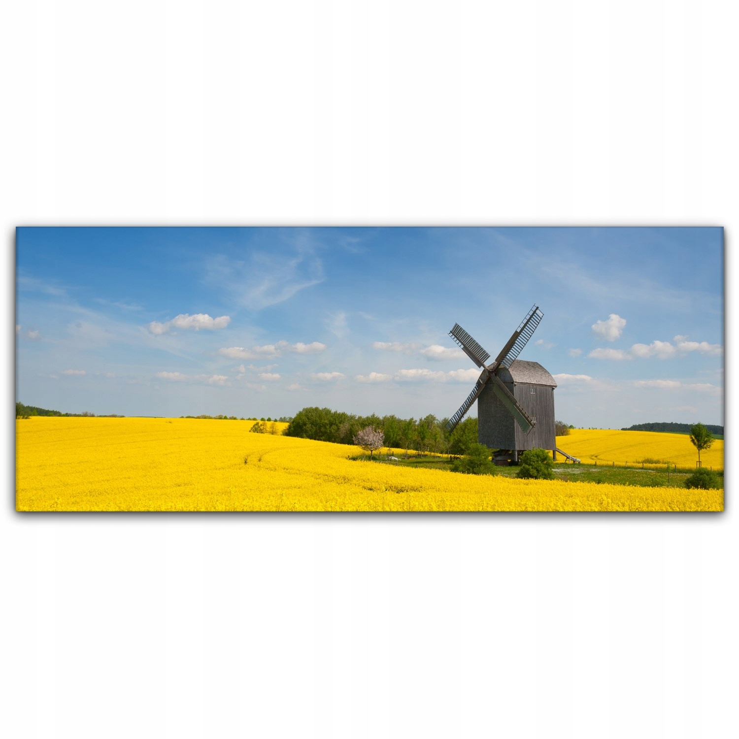 

Obraz na płótnie z foto 125x50 Młyn Łąka Wieś Pole