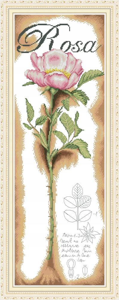 Křížková výšivka počítaná sada (kanva, mulina)