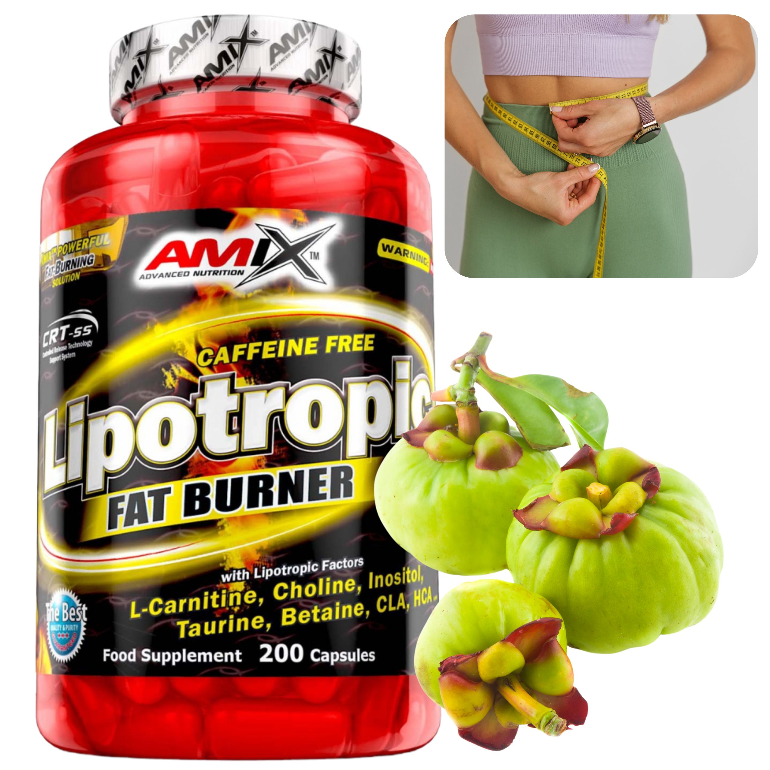 Spalovač Tuků Lipotropní Hca Garcinia Cambogia Cla Cholina Betain Hcl