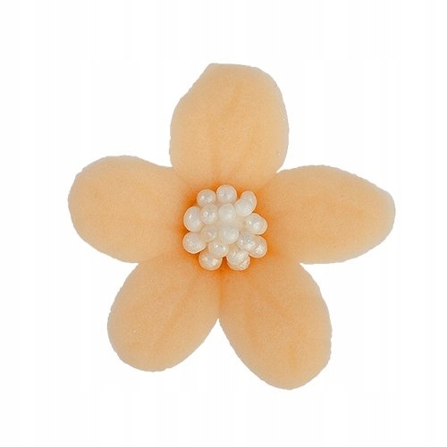 Jaśmin herbaciany 8 x 10 szt.