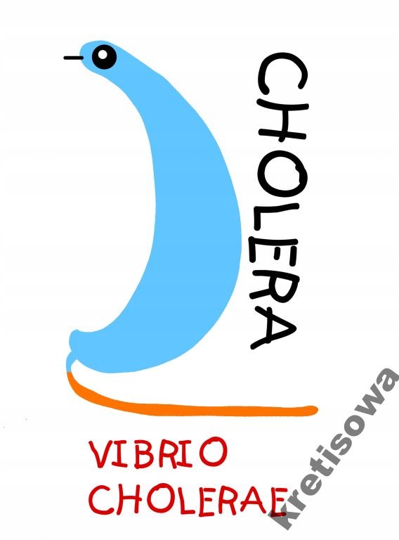 

Damska Koszulka Wirusy Mikroby Wzory Hit w3a