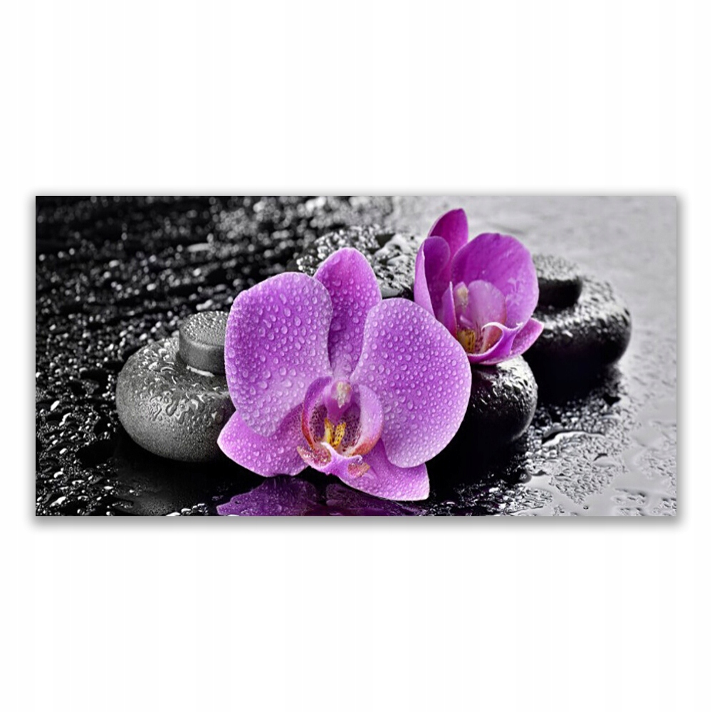 

Obraz akrylowy 140x70 Storczyk Kwiaty Orchidea Spa