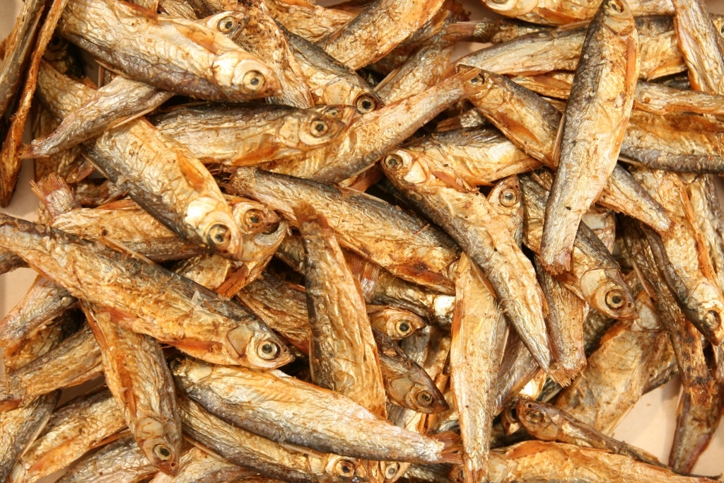 Levně Stinte Stynka Sušená Rybka Přírodní Glopex 1000 G