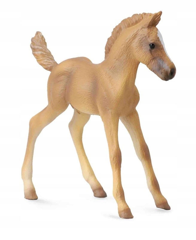 

CollectA 88516 - Źrebię haflinger stojące koń