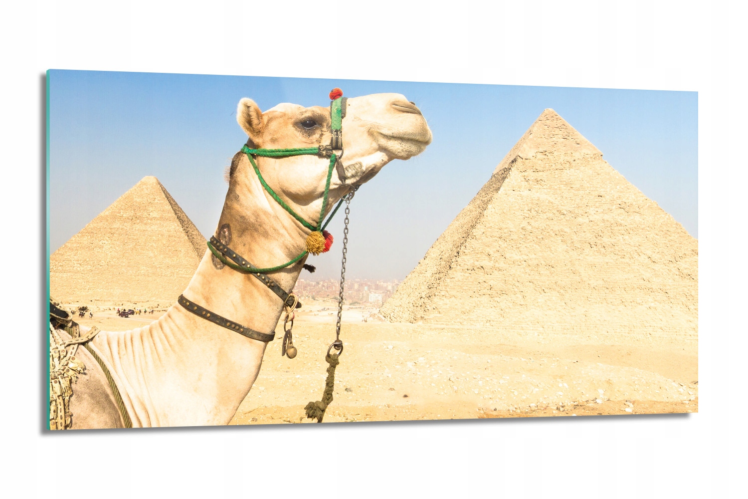 Kuchyňský panel z tvrzeného skla Velbloud pyramidy 100x50