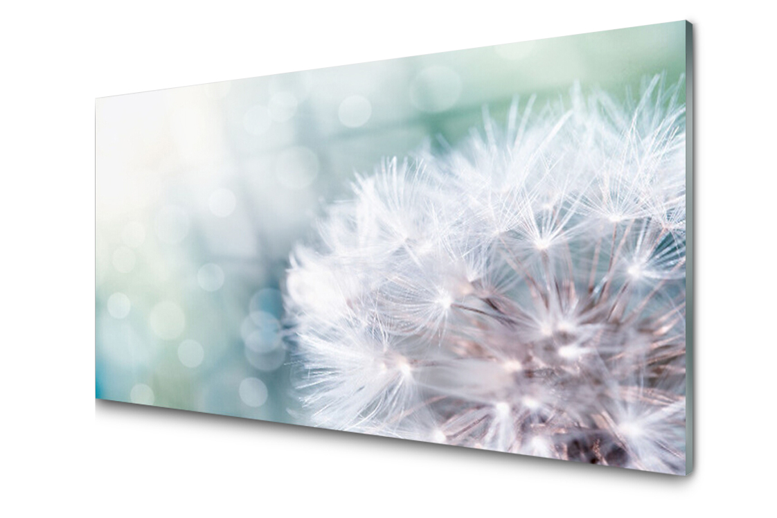 

Panel szklany dekoracyjny Mniszek Roślina 100x50