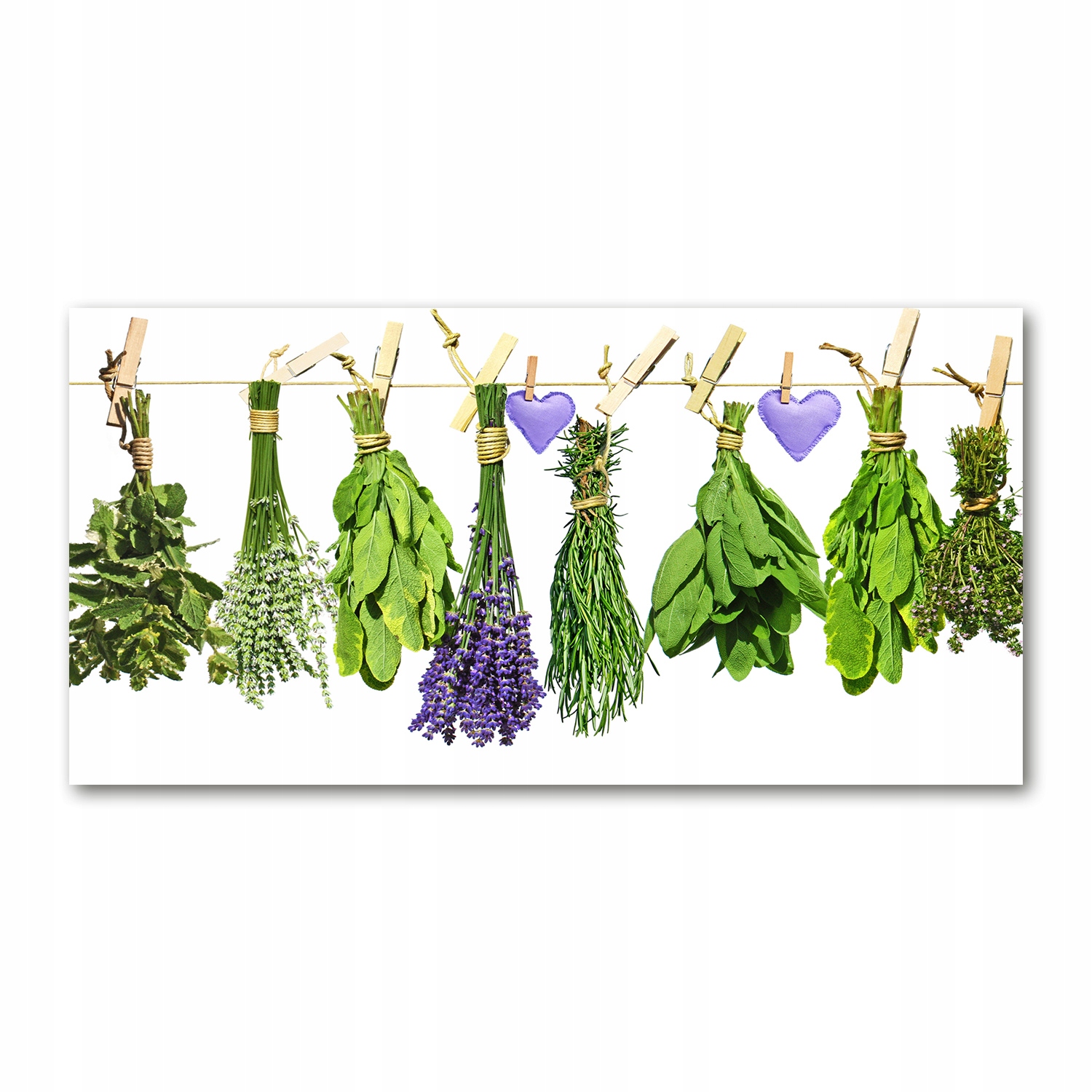 

Foto obraz szklany Zioła na sznurku 140x70