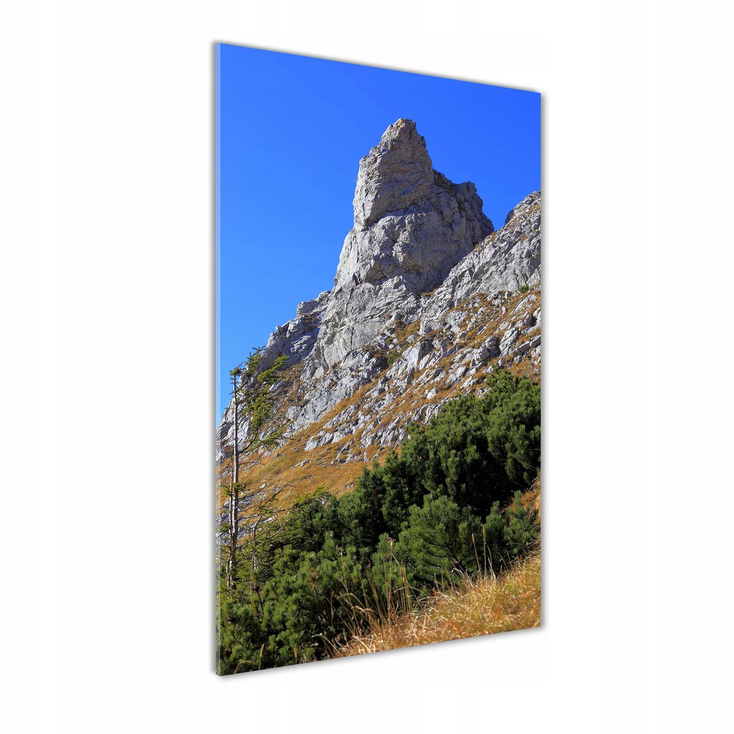 

Foto obraz akrylowy mały Giewont Tatry 70x140 cm