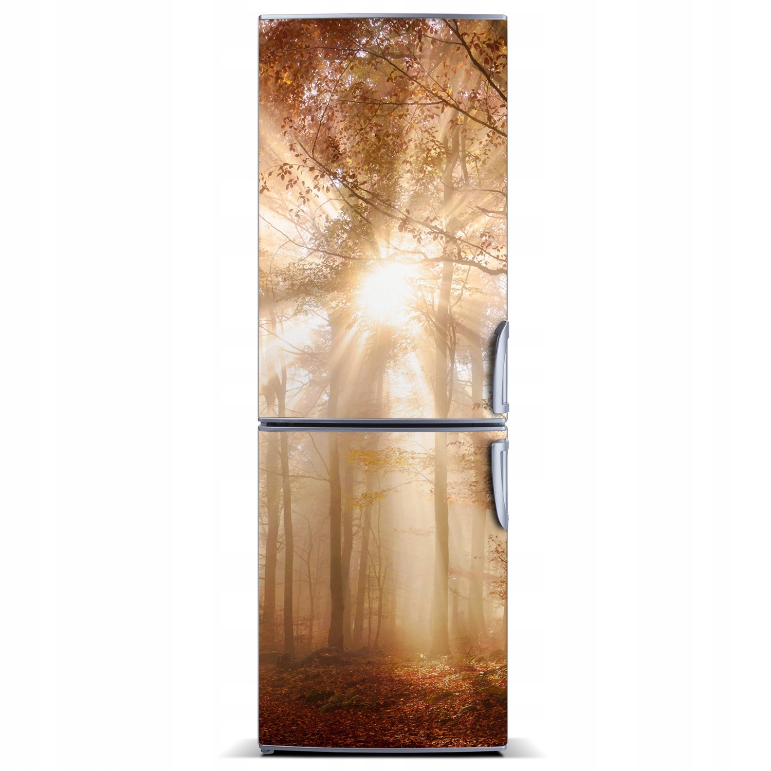 

Magnes na lodówkę magnetyczna Las jesienią 60x180