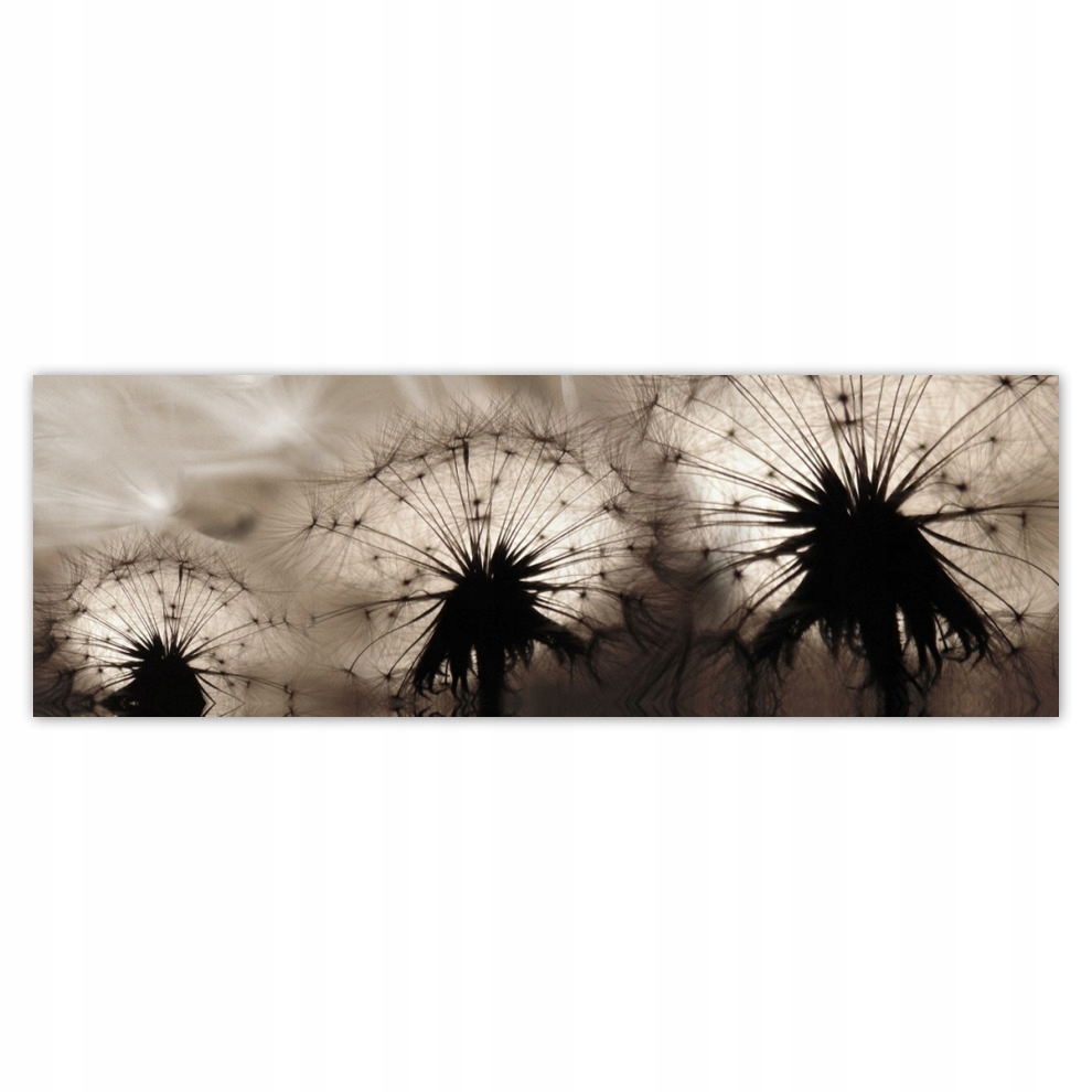 

Fototapety flizelina 312x104 Dmuchawce