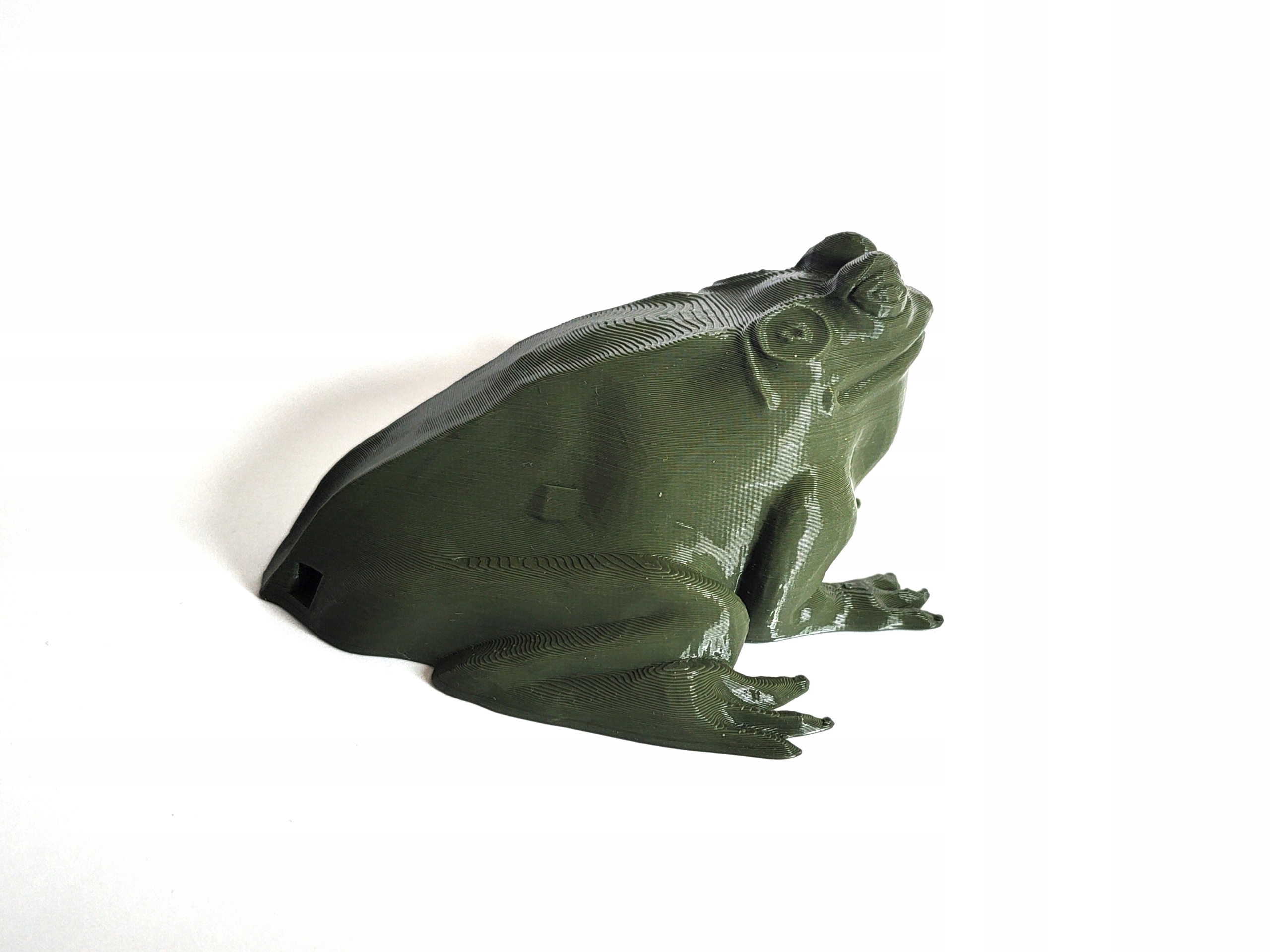 Maskowanie, skrytka Żaba duża. Geocaching