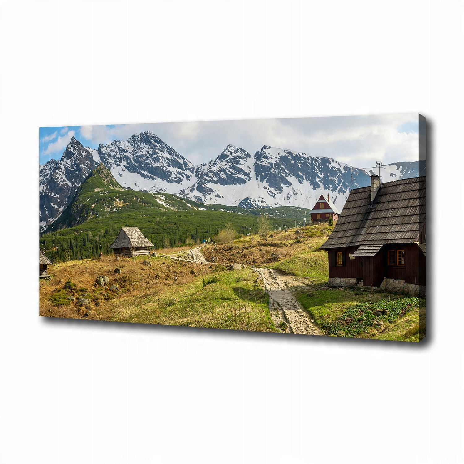 

Foto obraz canvas na ścianę Hale Tatry 100x50 cm