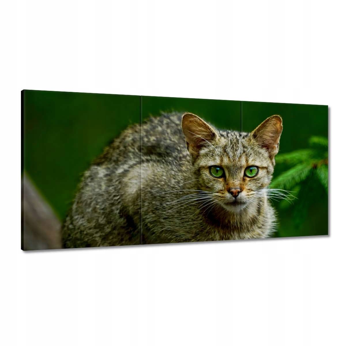 Obrazy 180x90 Mačka Mačky