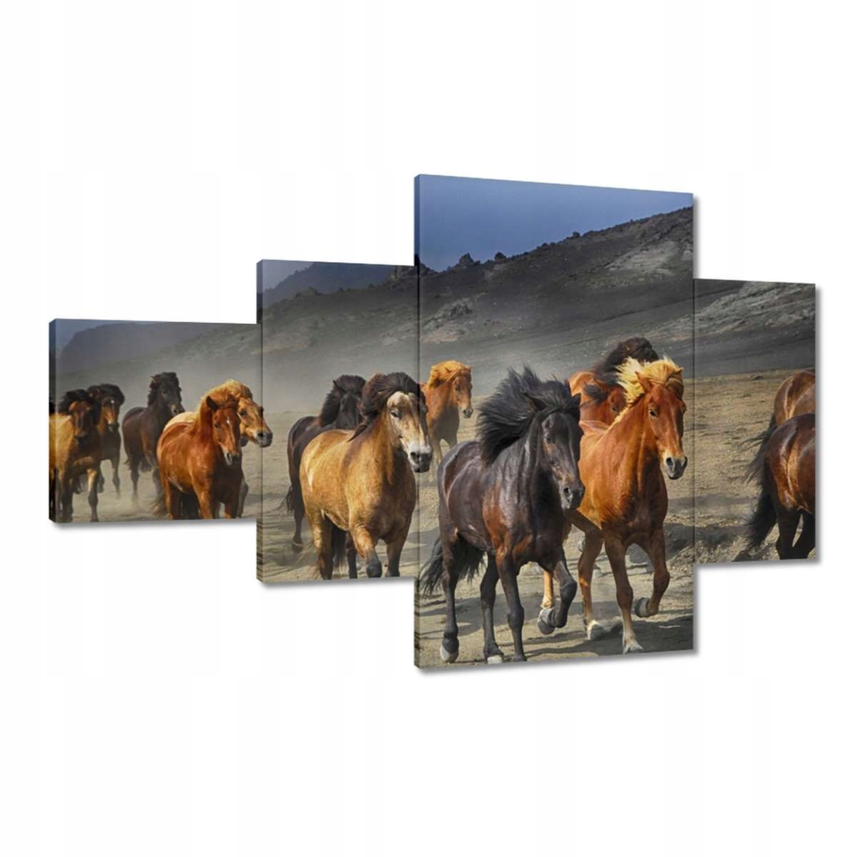 Obrazy 130x80 Stádo divokých koní