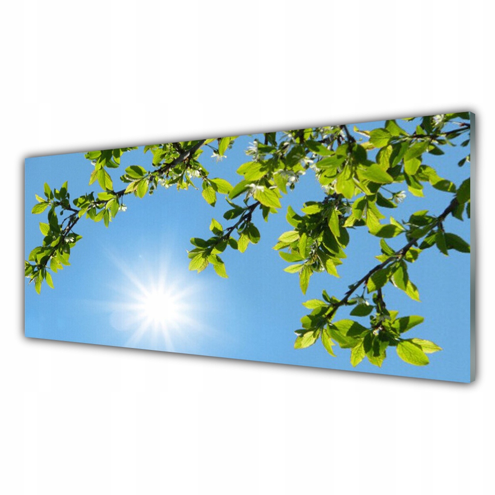 

Obraz akryl wiszący na ścianę 125x50 Słońce Natura