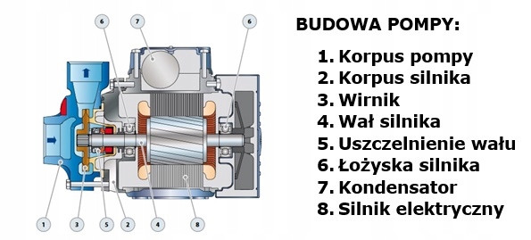 Pompa peryferalna PEDROLLO PKm 80 230V 0,75kW Rodzaj pompy powierzchniowa