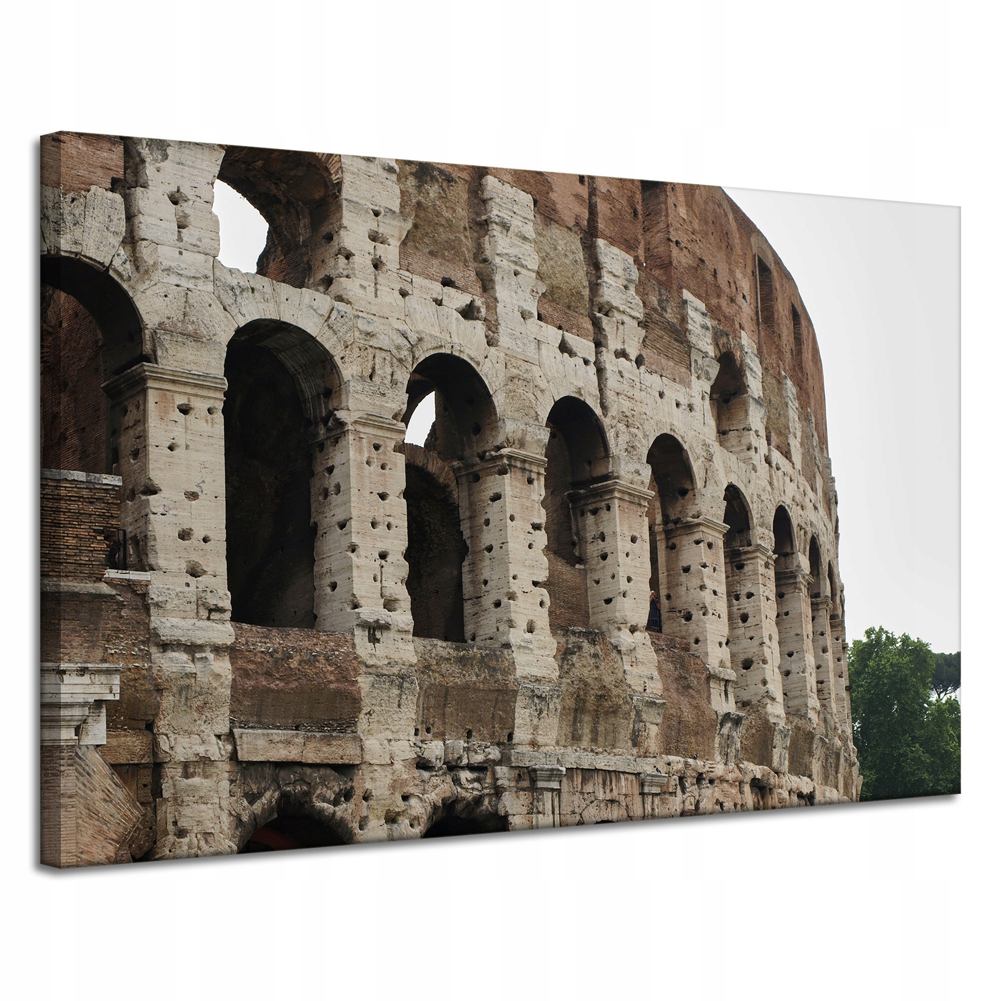 Obraz na plátně Architektura Koloseum Řím 120x80 Itálie Starověk Pták