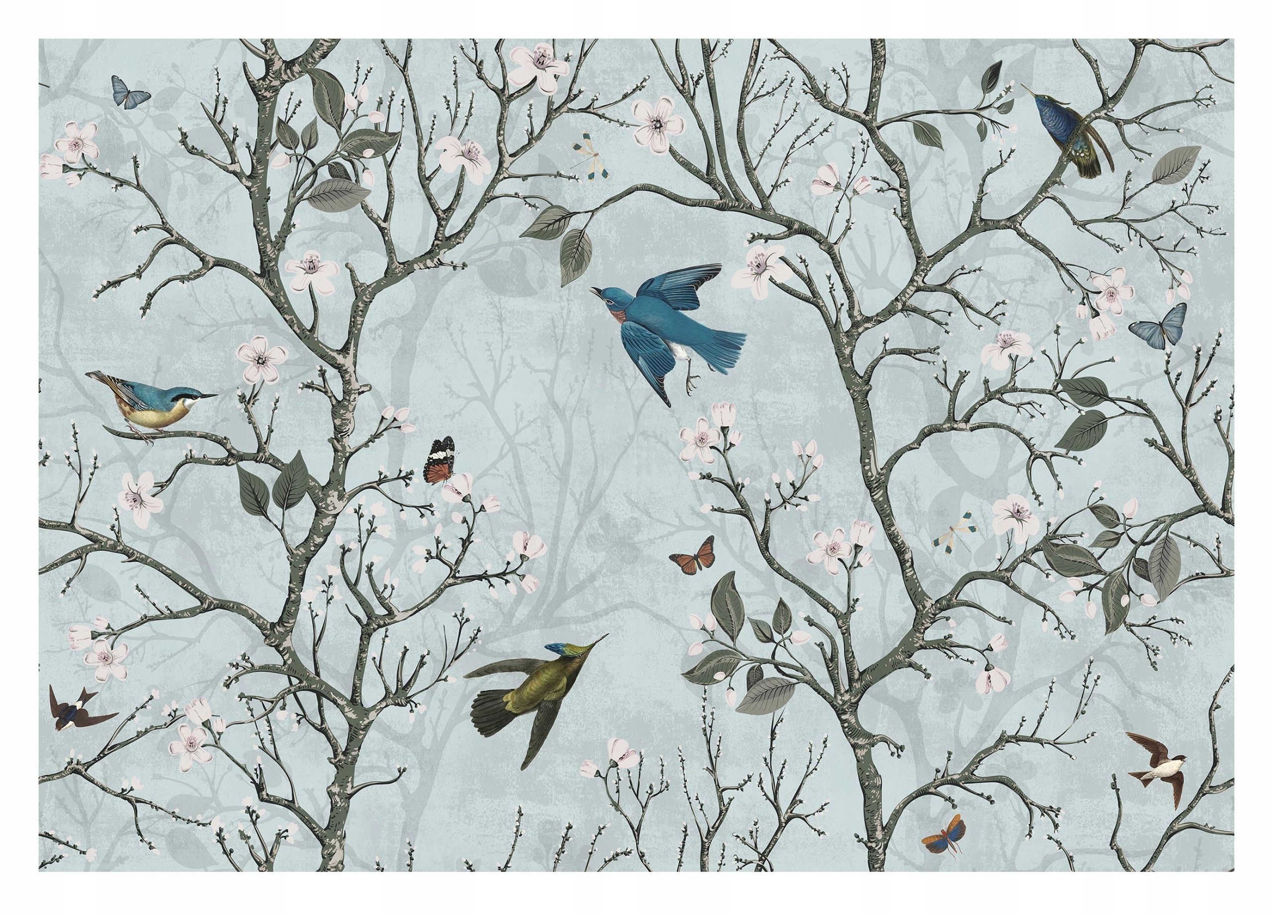 Fototapeta Ptáci Větvičky Rostliny Příroda 416x254