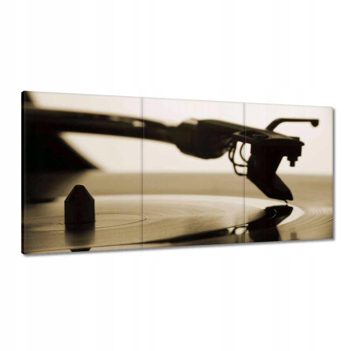 Obrazy 120x60 Vinylová deska