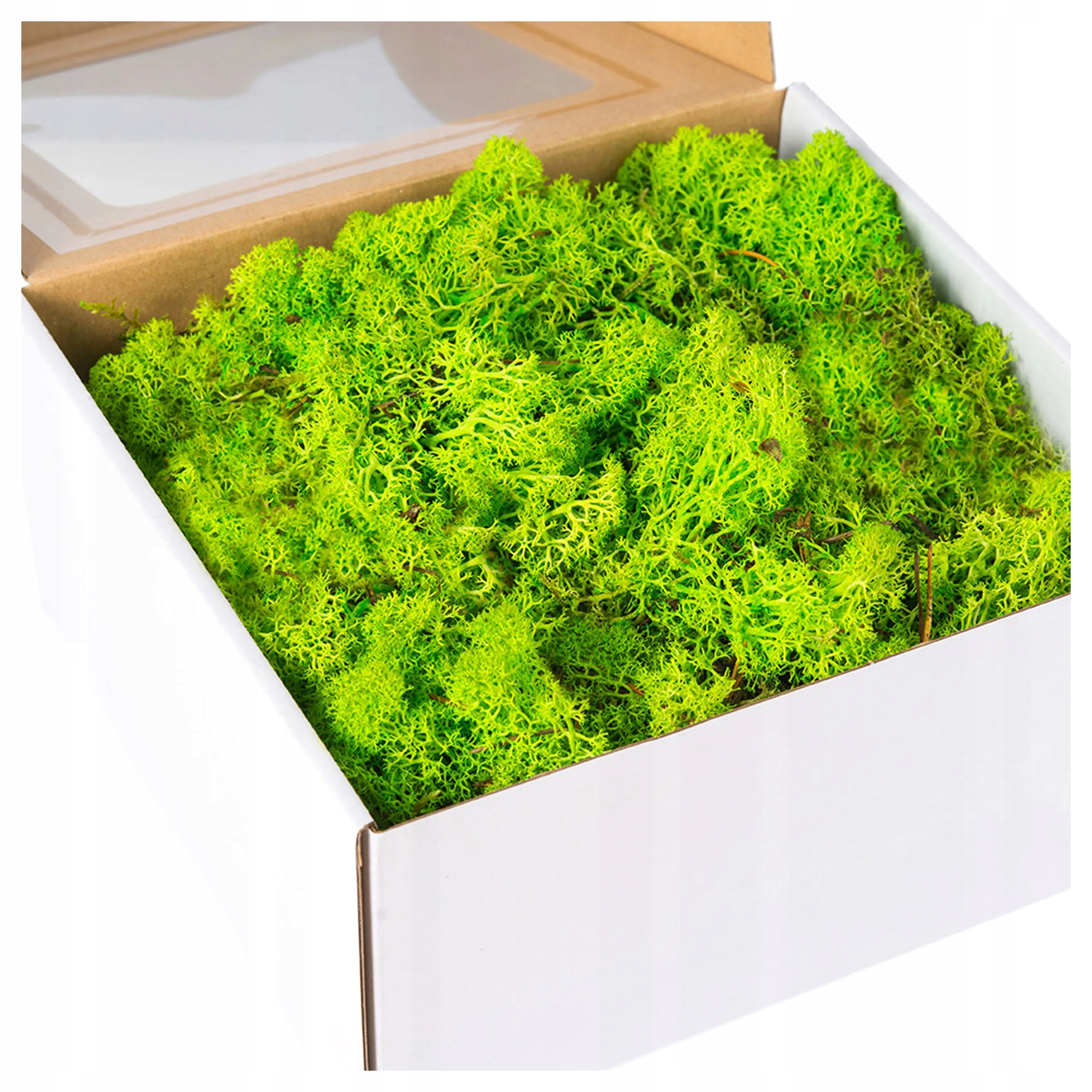 MECH chrobotek naturalny ozdobny TRAWIASTY reniferowy do stroików 200g mech