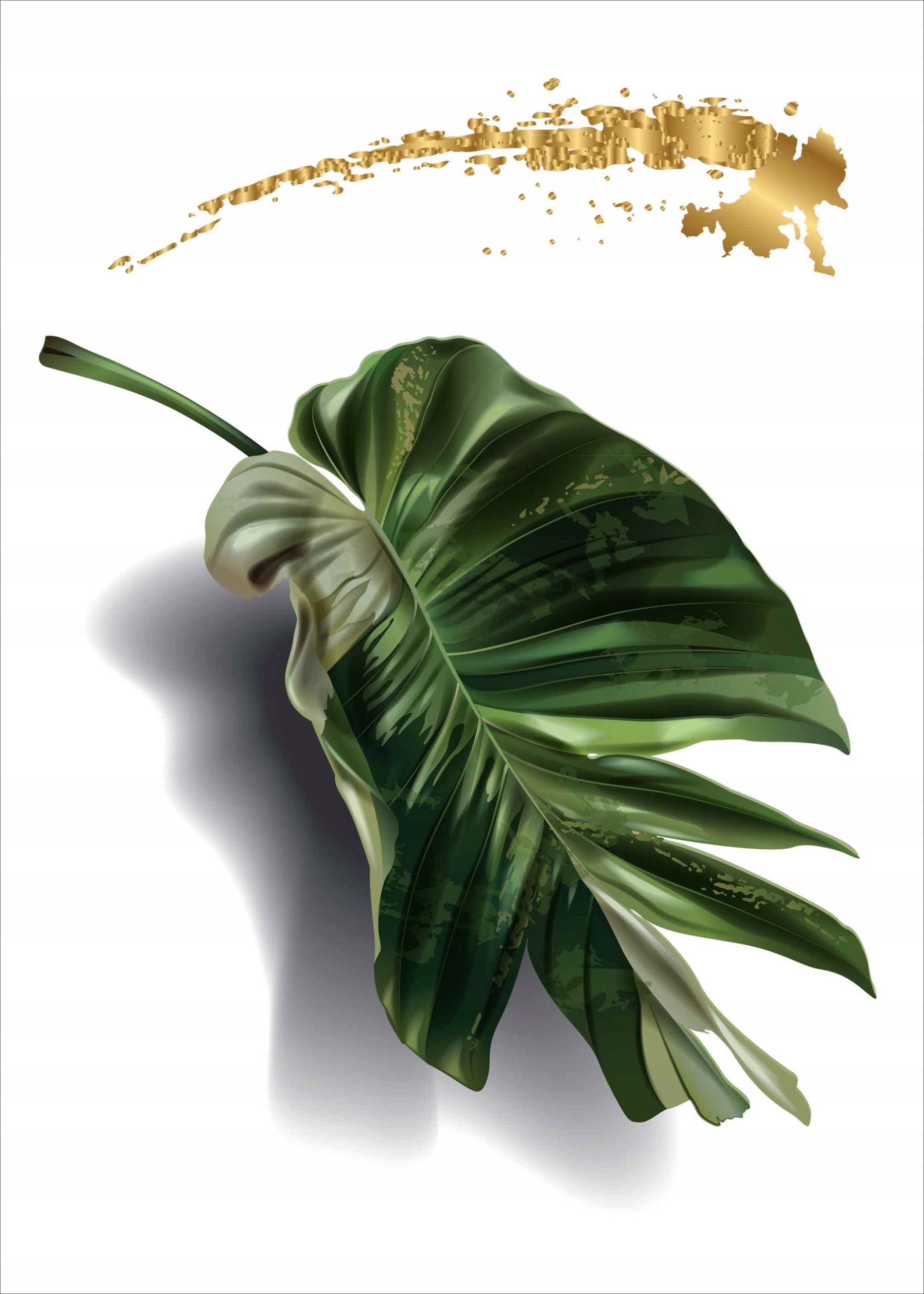 

Monstera Plakat Plakaty do ramki B2 70x50cm