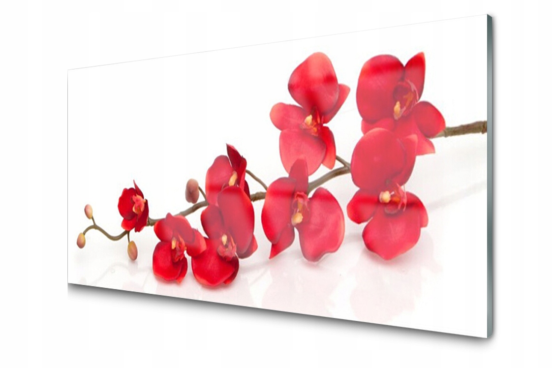 

Panel szklany dekor Kwiaty Roślina 120x60 + Klej